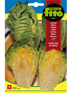 Lechuga Sucrine (8 g)