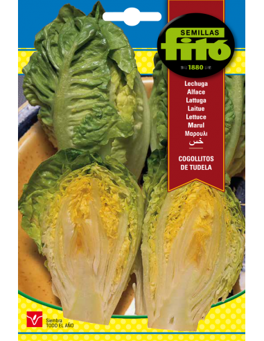 Lechuga Sucrine (8 g)