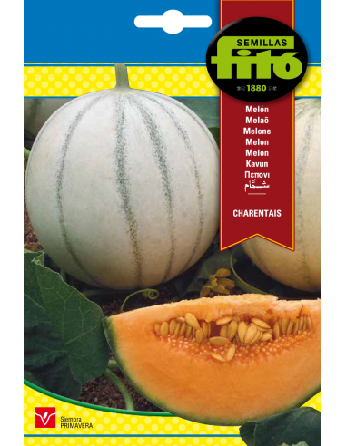 Melon Charentais (10 g)