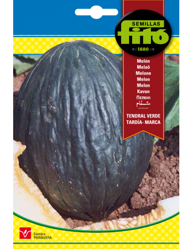 MELON TENDRAL VERDE TARDIO - MARCA...