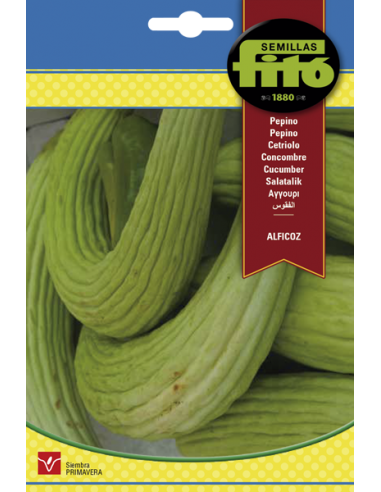 Pepino Alficoz (10 g)