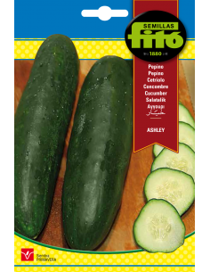 Cucumber Ashley (10 g)