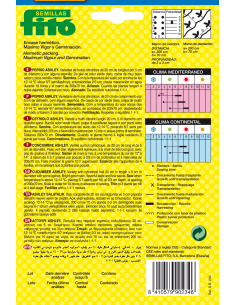 Cucumber Ashley (10 g) 2