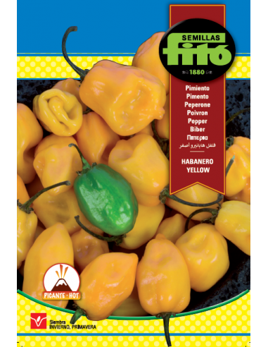 Pimiento Habanero yellow (3 g)
