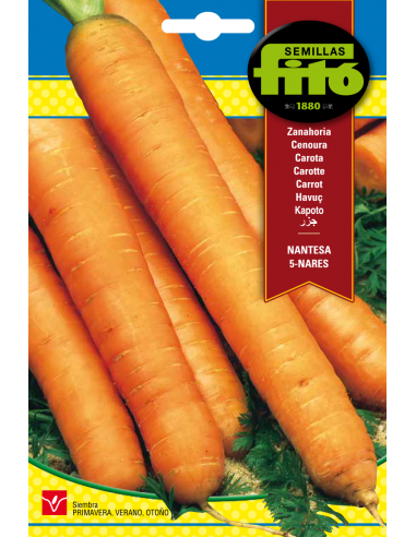 Zanahoria Nantesa 5 - Coral (15 g)