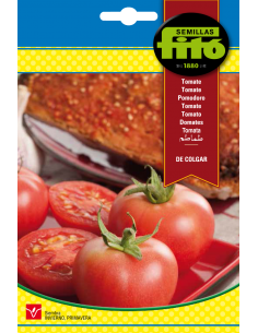 Tomate de Colgar (100...