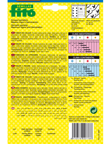 Tomate de Colgar (100 semillas)