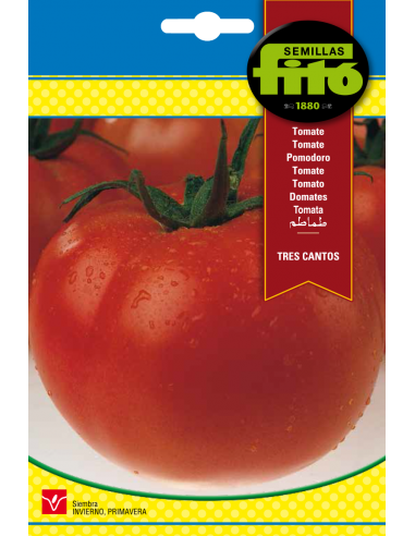 TOMATE TRES CANTOS SUPERBOL