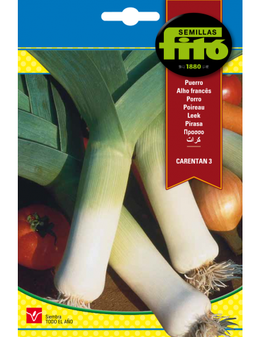 Puerro Carentan 3 (8 g)