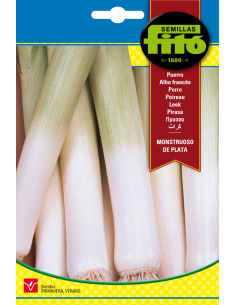 Puerro Monstruoso de Plata...