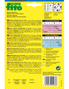 Puerro Monstruoso de Plata... 2