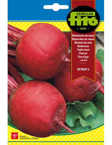 Remolacha de Mesa Detroit 2 (13 g)