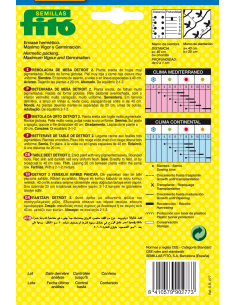 Remolacha de Mesa Detroit 2... 2