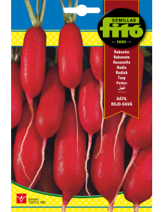 Rabanito Dátil Rojo - Gavá...