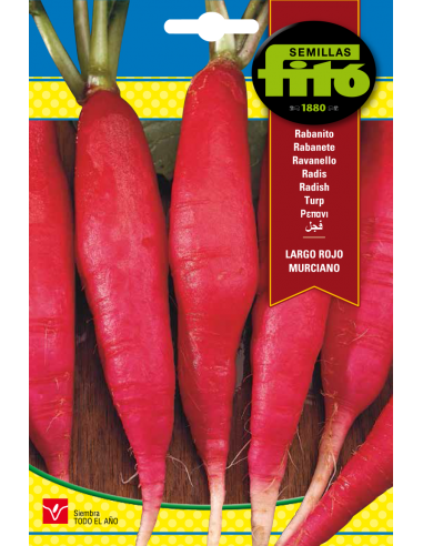 Rabanito Largo Rojo Murciano (20 g)