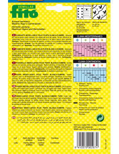 Rabanito Medio-Largo Rojo... 2