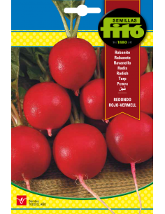 Radish Redondo Rojo -...
