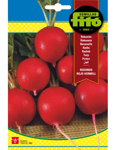 RABANITO REDONDO ROJO - VERMELL SUPERBOL