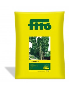 Acelga Verde Penca Blanca...