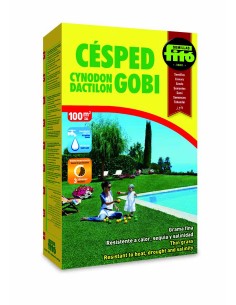 Cynodon Dactilon Gobi...