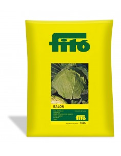 Cabbage Corazón de Buey...