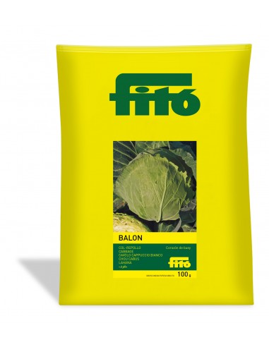 Cabbage Corazón de Buey Pequeño -...