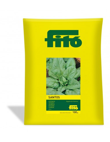 Espinaca Gigante de Invierno - Santos...