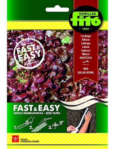 Lechuga Red Salad Bowl (Cintas con...