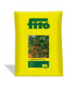 Perejil Común de Hoja Lisa...