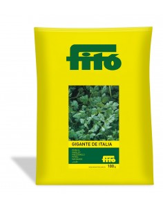 Perejil Gigante de Italia...