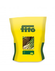 Cebolla Blanca Grande País...