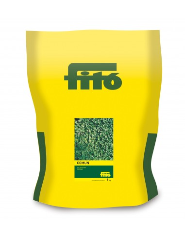 Dichondra Repens (Pildorado) (1 kg)