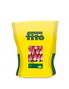 Rabanito Medio-Largo Rojo...