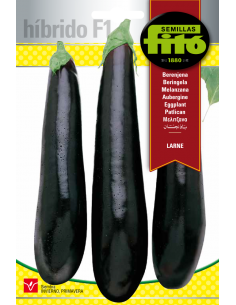 Berenjena Larne (70 semillas)