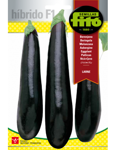 Berenjena Larne (70 semillas)