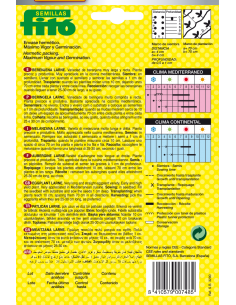 Berenjena Larne (70 semillas) 2