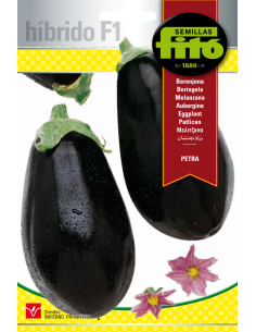 Berenjena Petra (70 semillas)