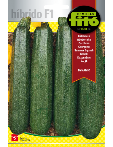 Calabacín Dynamic (40 semillas)